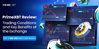 Maximize Your Profits with the PrimeXBT Trading Platform
